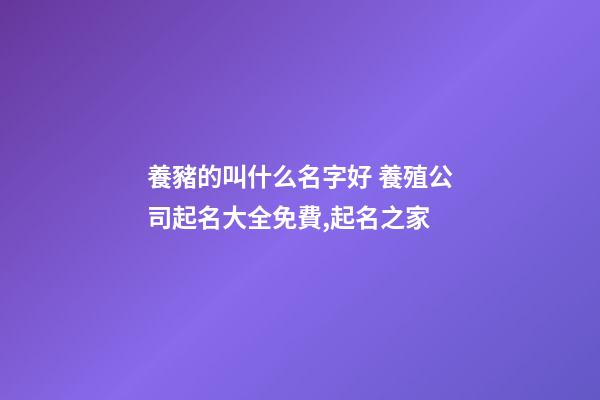 養豬的叫什么名字好 養殖公司起名大全免費,起名之家-第1張-公司起名-玄機派